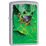 Zippo Frog on Leaf 15388